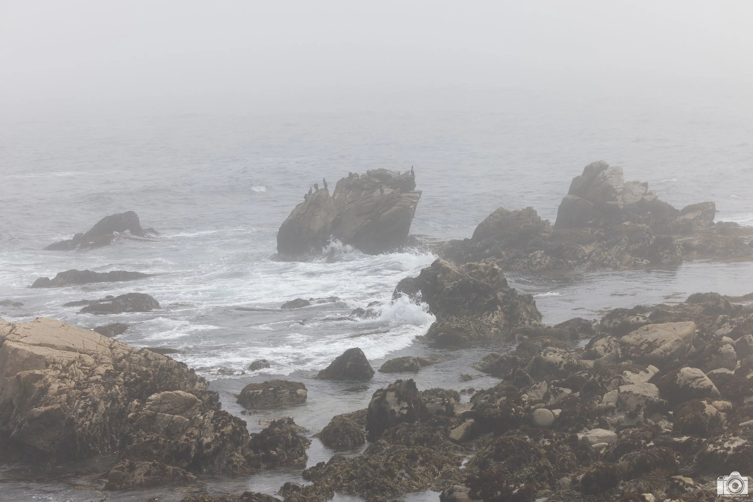 You can never predict the weather or when to leave your camera behind.  We ventured onto the 17-Mile Scenic Drive in Monterey and this is basically the before shot for everything to follow.  Editing took quite some time  but I'm glad I didn't leave m