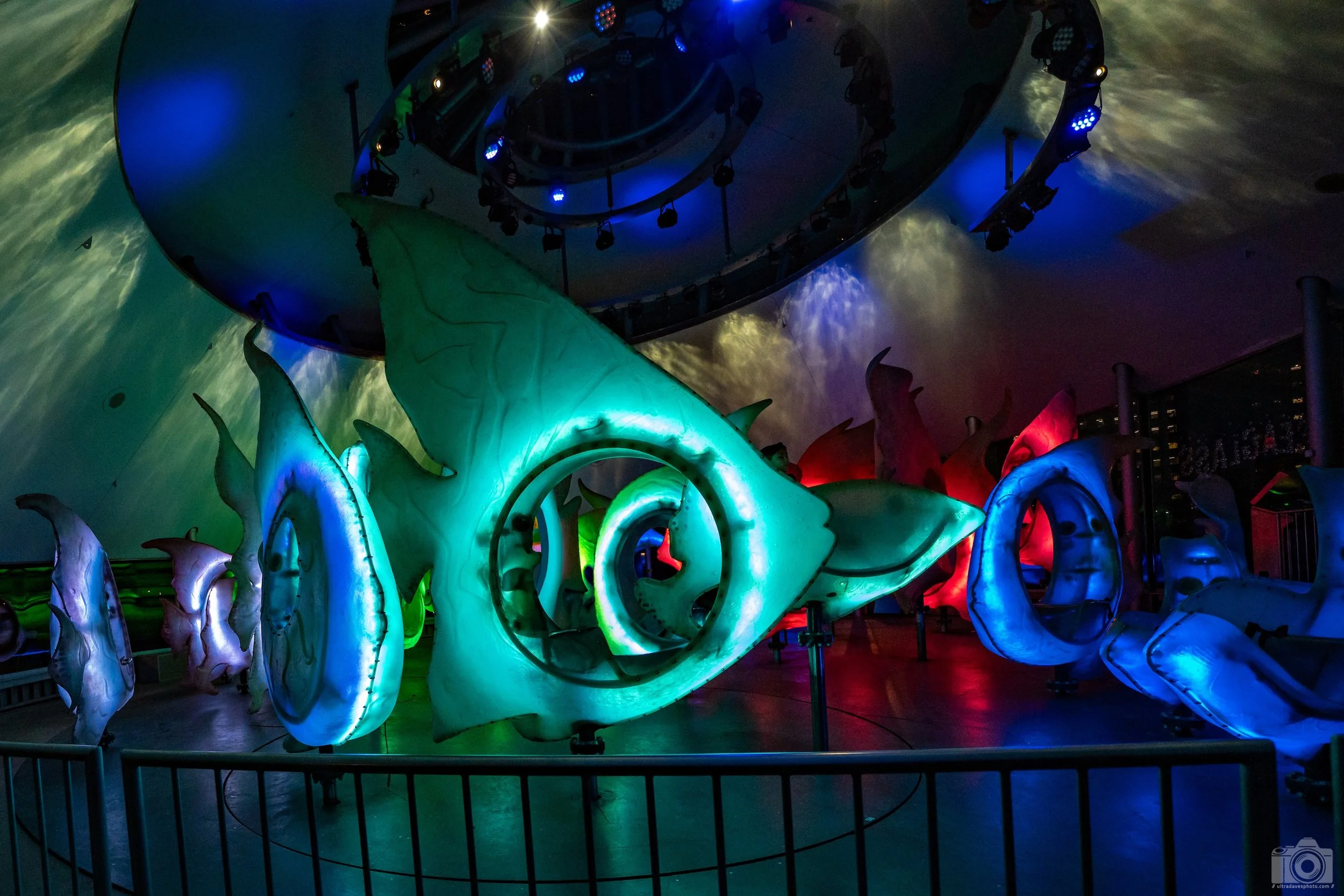2024 - Under the Sea.  Shot with a Sony a7c II // FE 12-24mm G @ 13mm f/4 ISO 6400 - 1/800s.