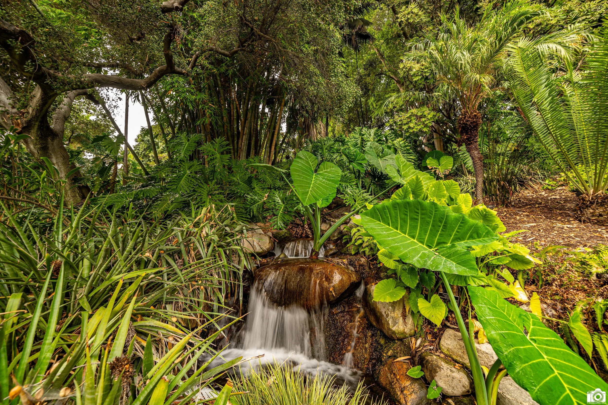 2024 - Soft Falls v1.0.  This is one of my first attempts of capturing a long exposed water fall.  It's a small one, but soothing nonetheless.  Shot with a Sony a7c II // 12-24mm f/4 G @ 14mm - ISO 50 - 5s.  I believe I positioned the camera on a ben