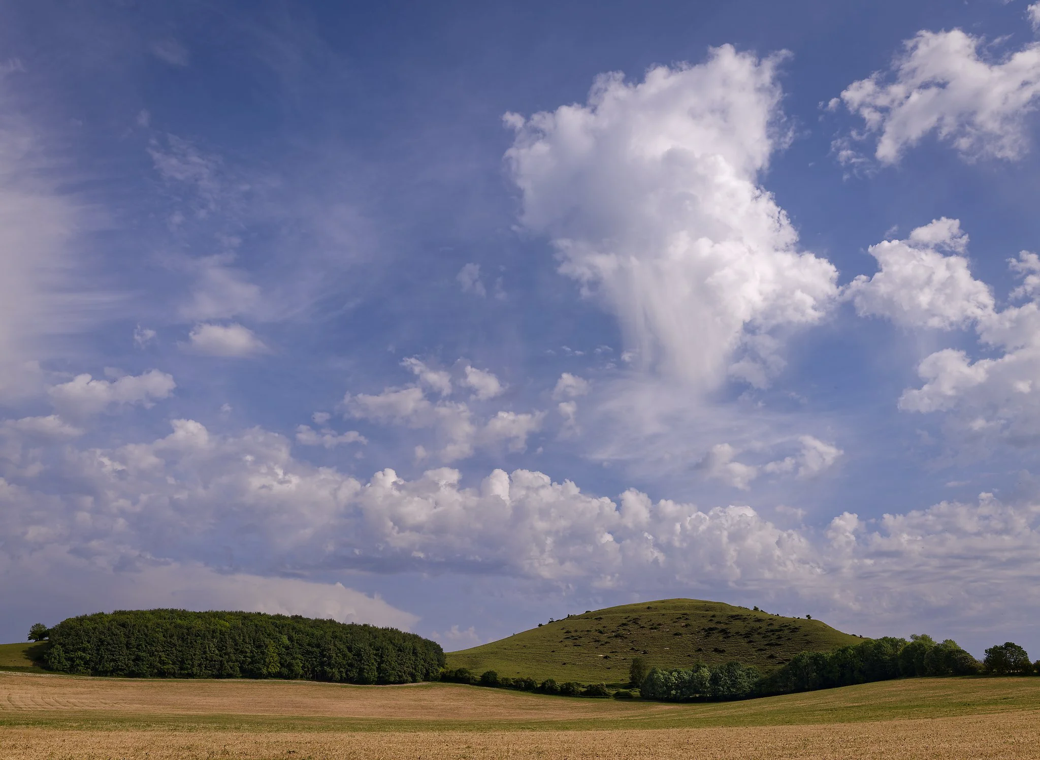 GFXR4487_DxO.jpg