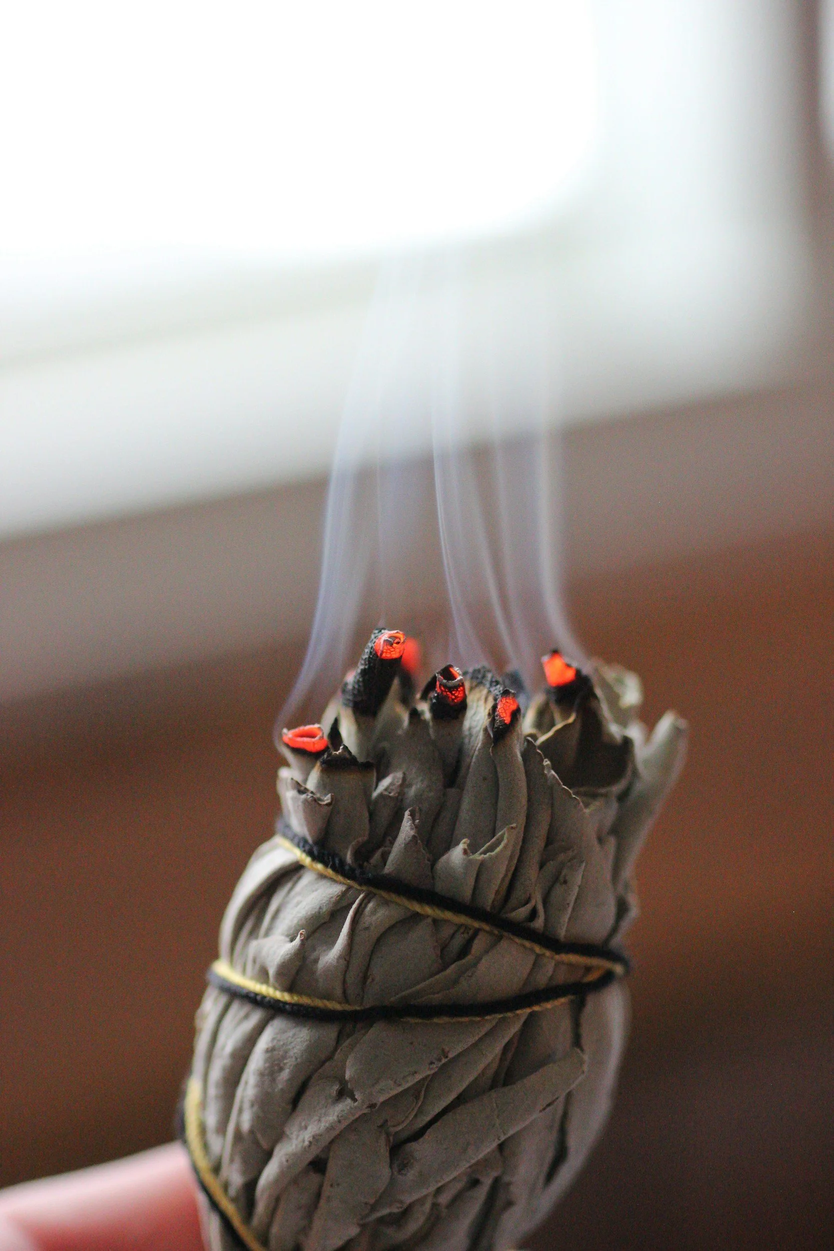 Close-up of a bundle of smoldering sage smudge stick with smoke rising from the tips.