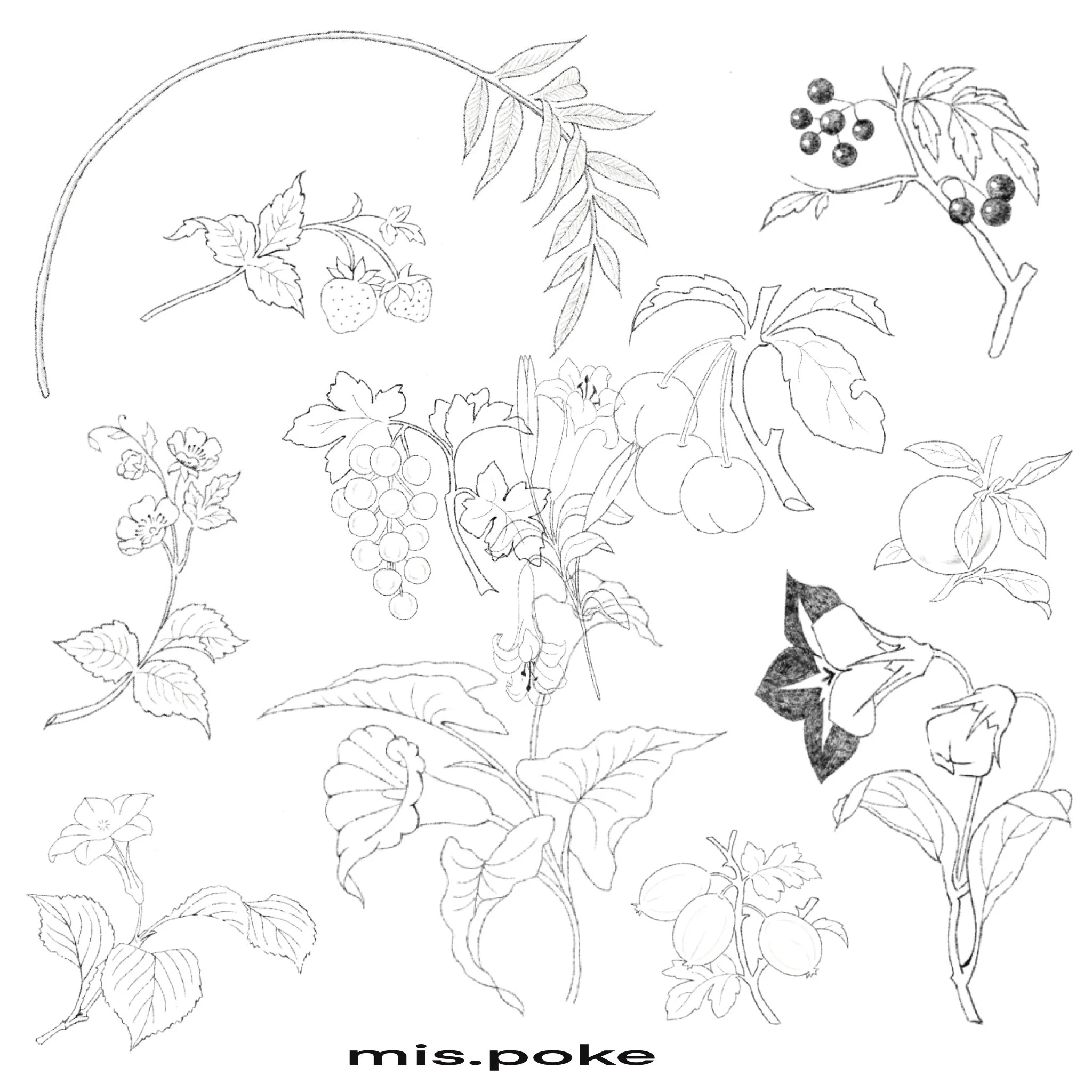 Untitled_Artwork 10.jpg