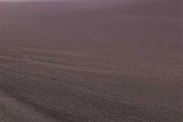 Close-up of a textured, possibly paved or dirt road surface.