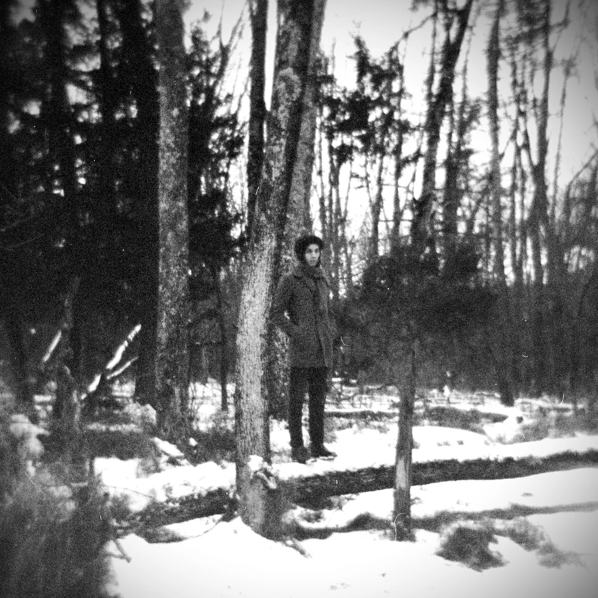 A woman standing on a fallen tree trunk in a snowy forest surrounded by tall leafless trees.