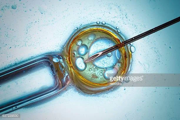 Infertility