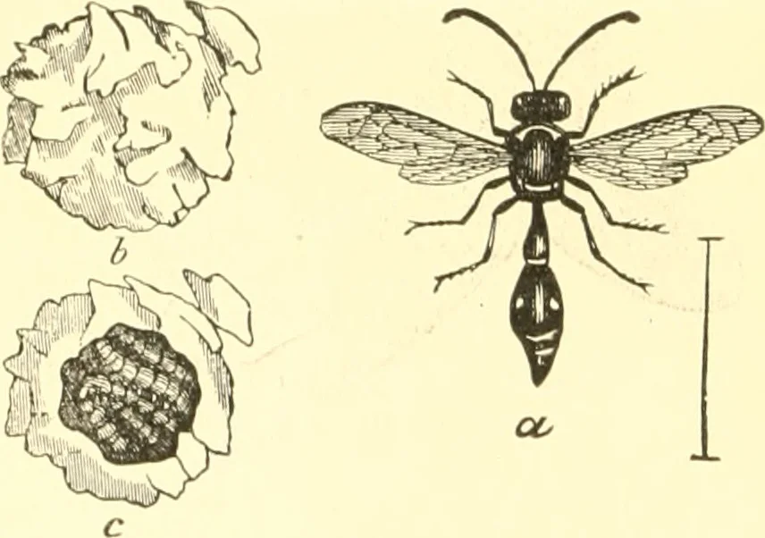 image4.jpeg