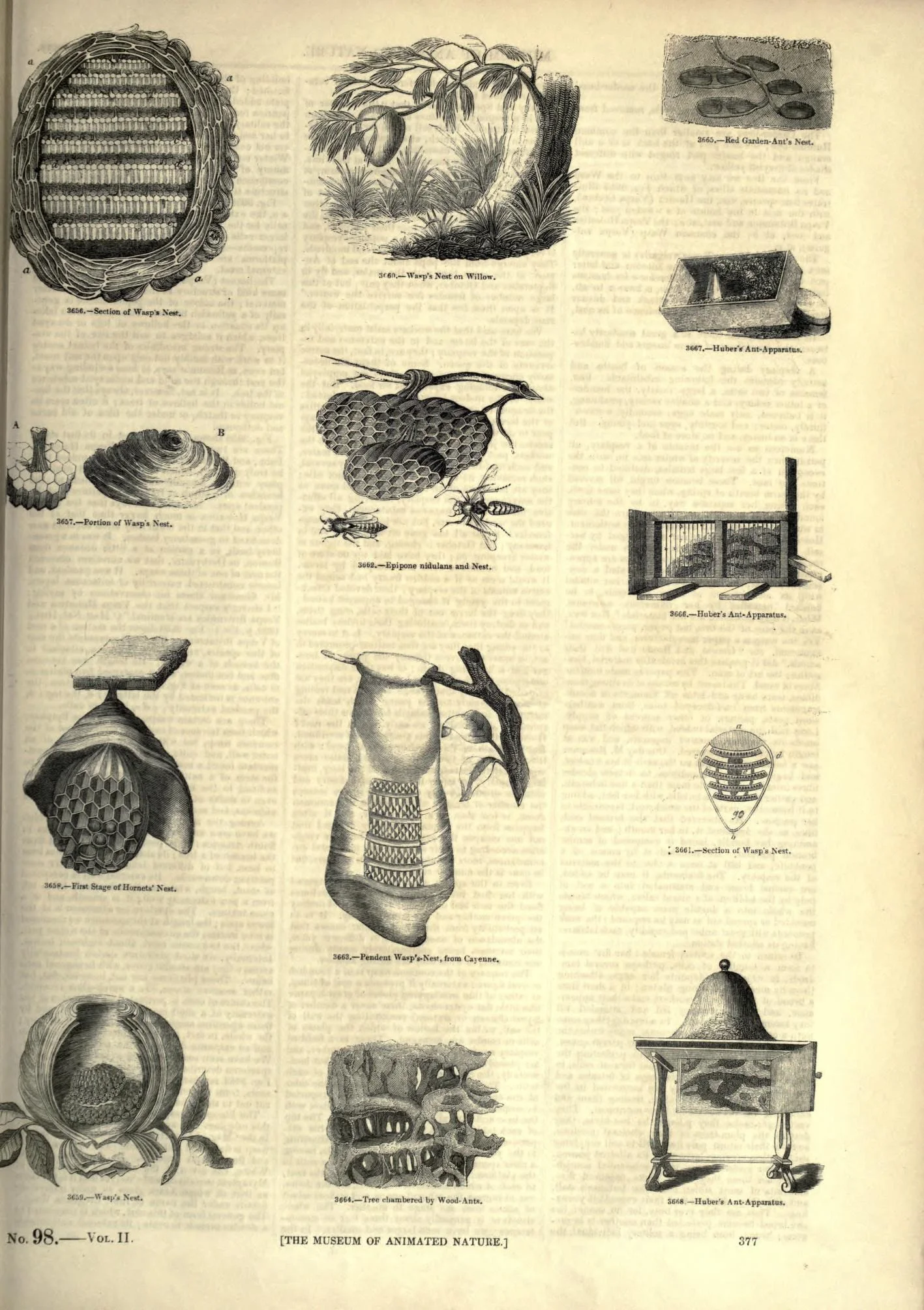 image3.jpeg