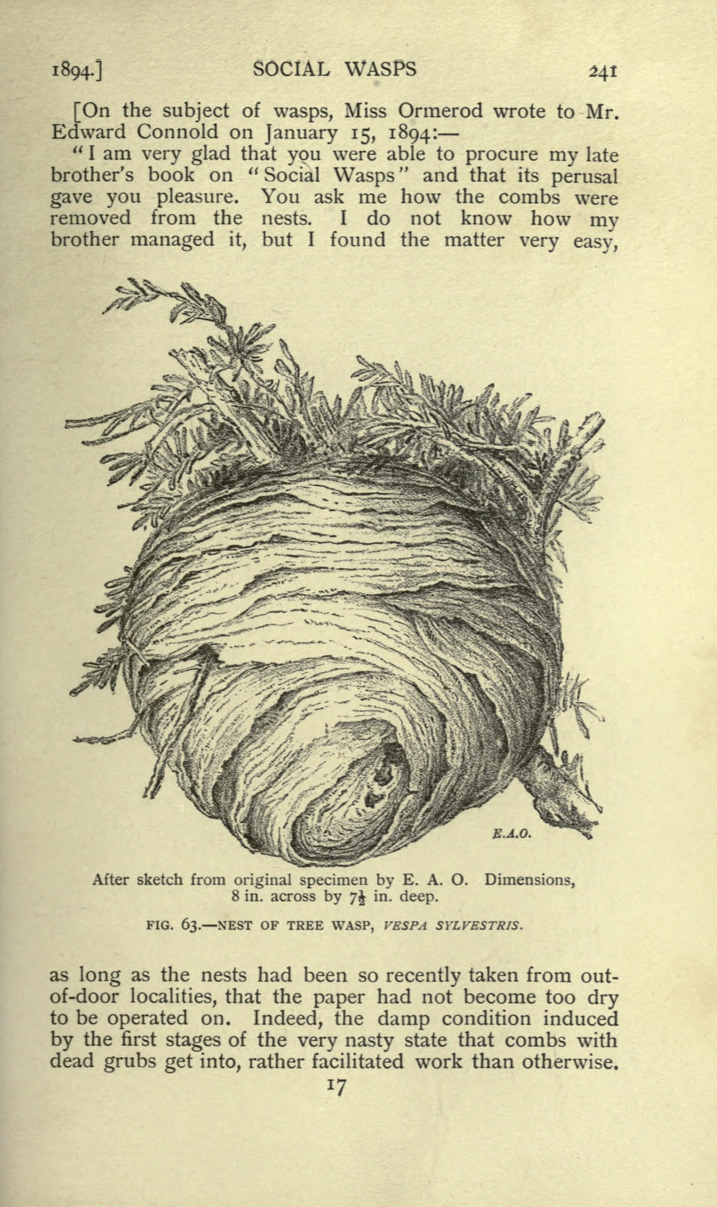 image1-7.jpeg