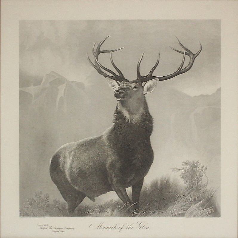 Alloysious’ Stag