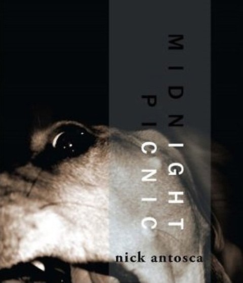 Cover of Midnight Picnic