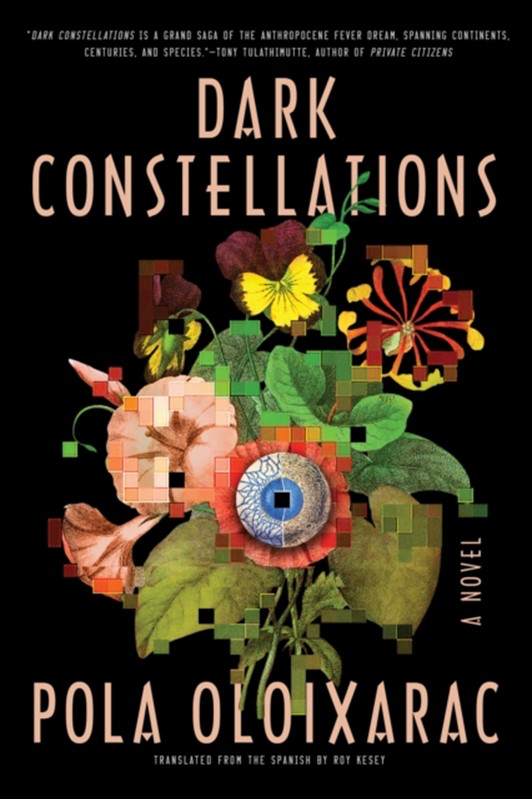 Good Company for a Polyglot: On Pola Oloixarac’s “Dark Constellations”
