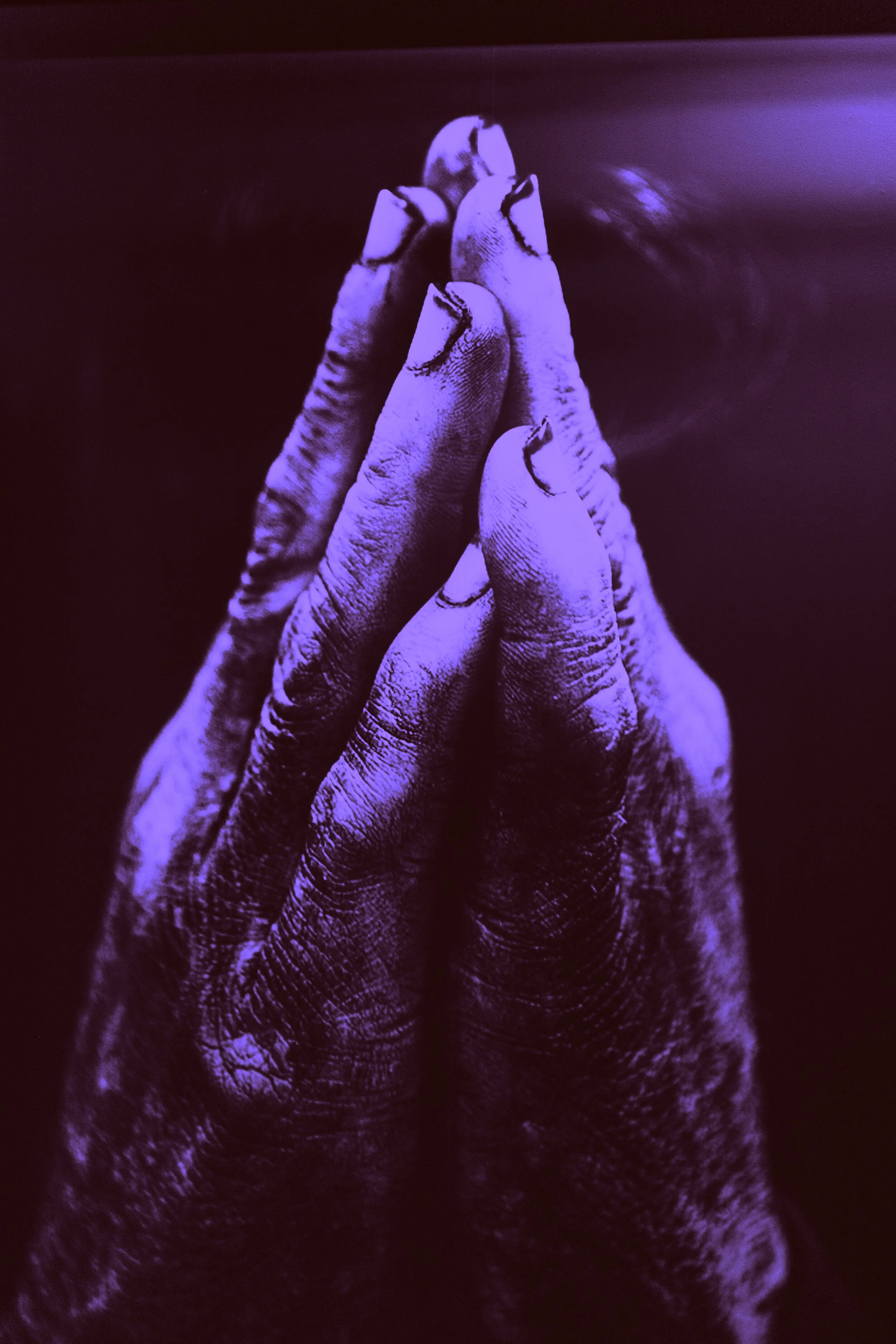 Against This Earth, We Knock