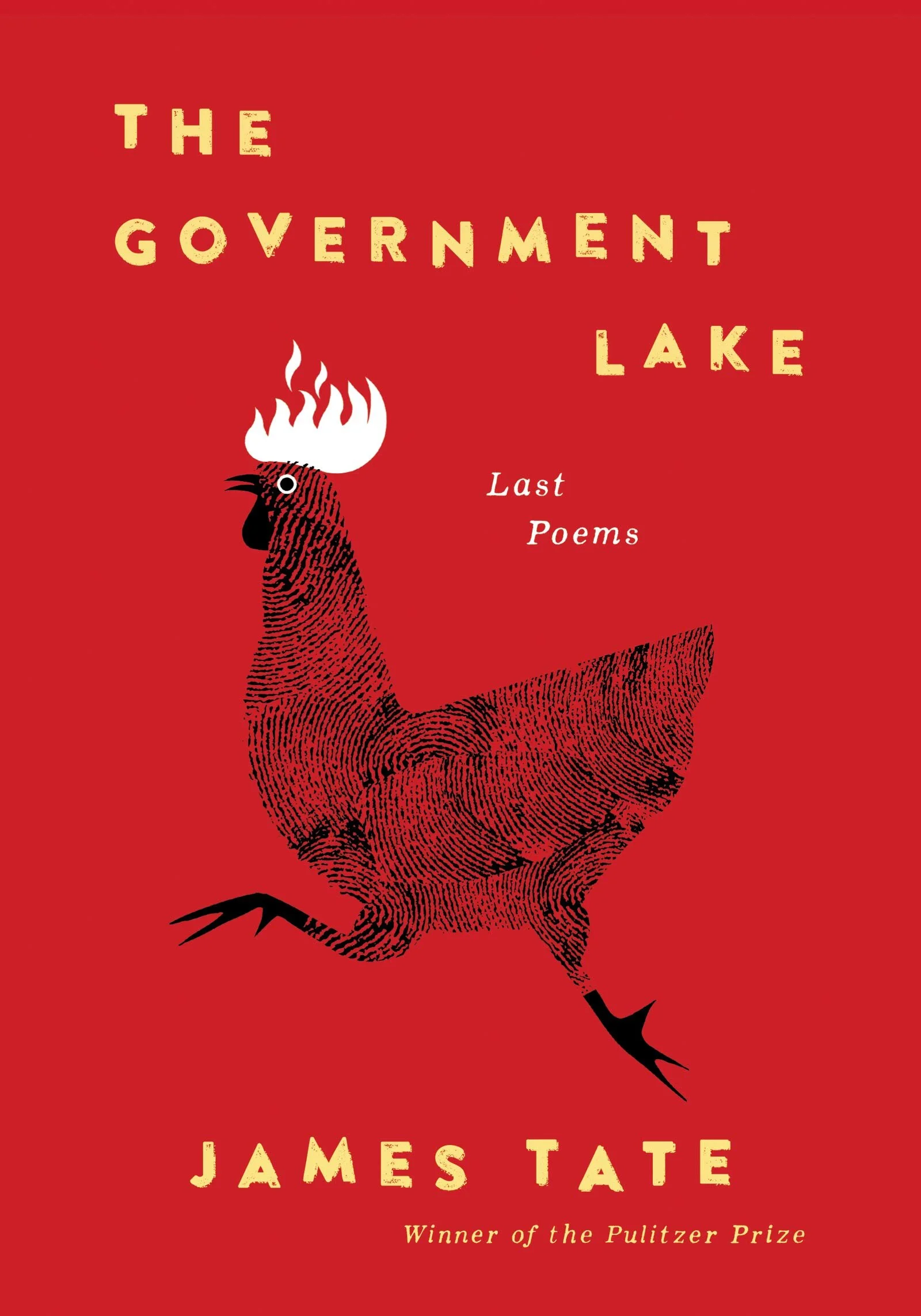 Strange Days: James Tate’s “The Government Lake”