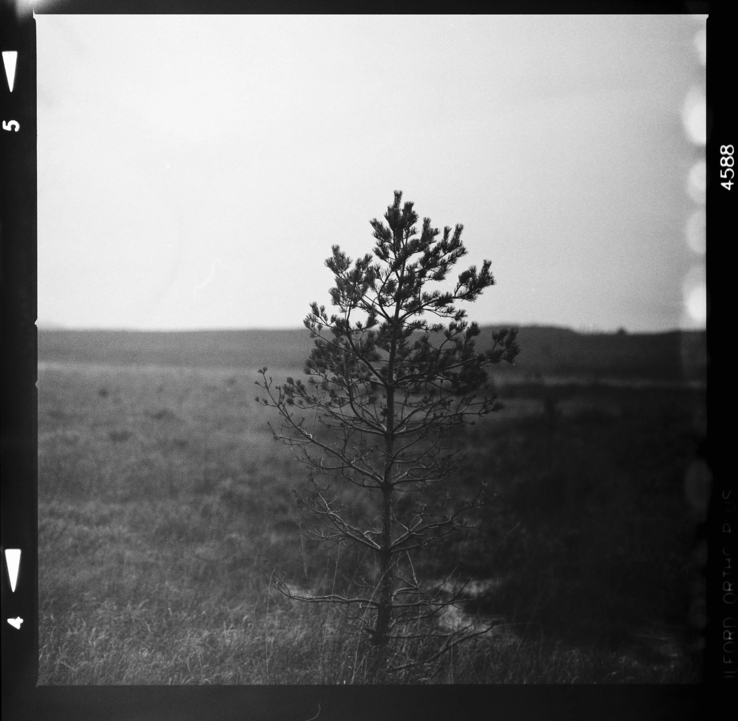 Poetry and the Blank