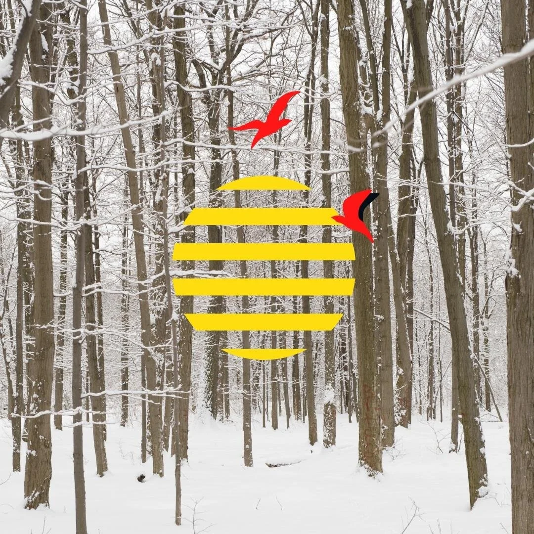 “Examination in February” &amp; “New Turpentine”