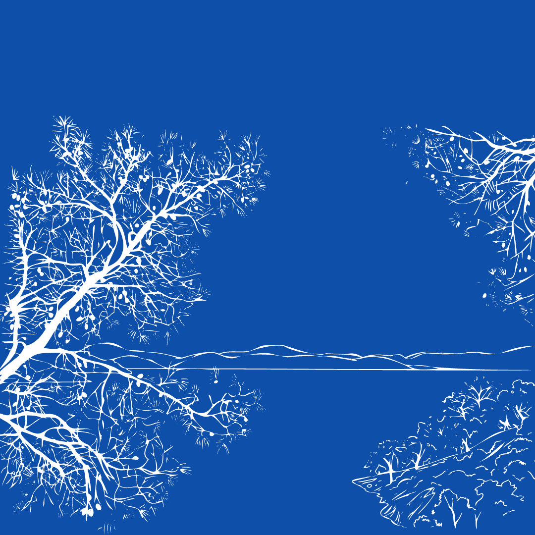 “Gauze” &amp; “The Lake”