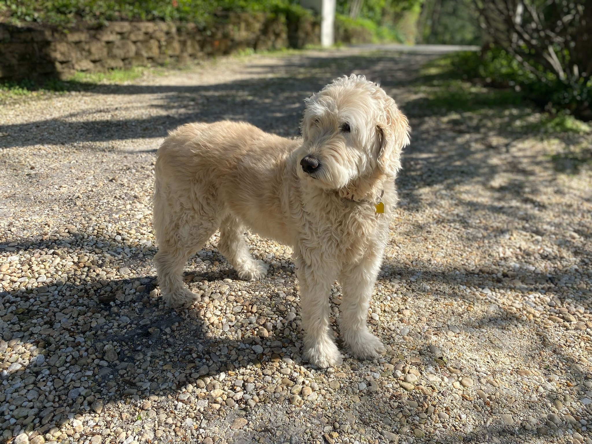 The Door of That Feeling