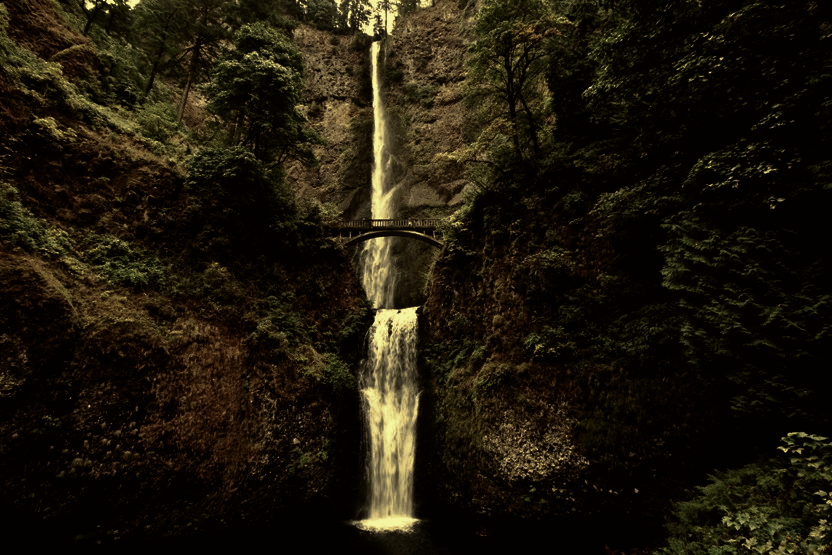 Multnomah Park at 17