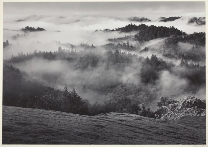 The Hill of Lost Things