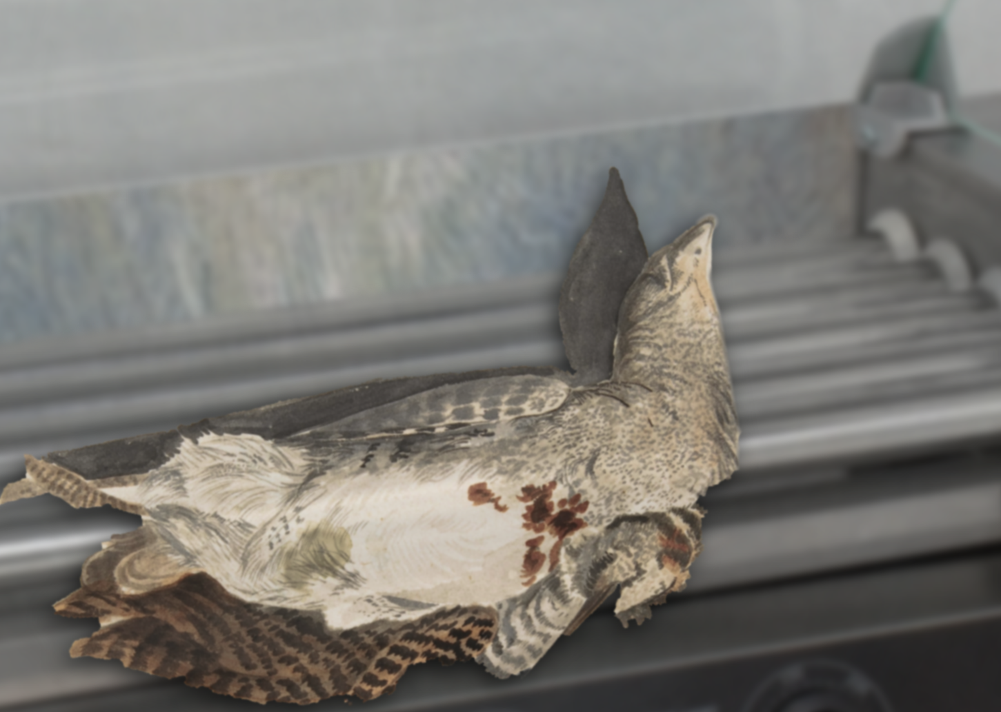 “The Body Problem” &amp; “Disaster and Me”