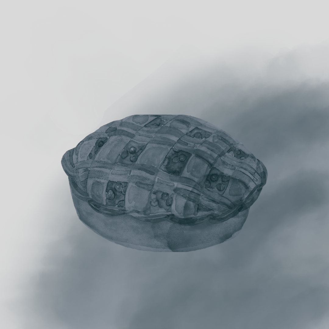 Burning Pies in Iowa