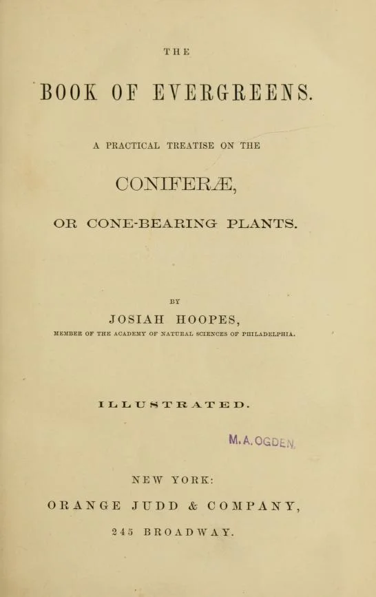 bookofevergreen00hoop_0007.jpg