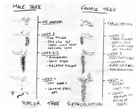 Biology1.jpg