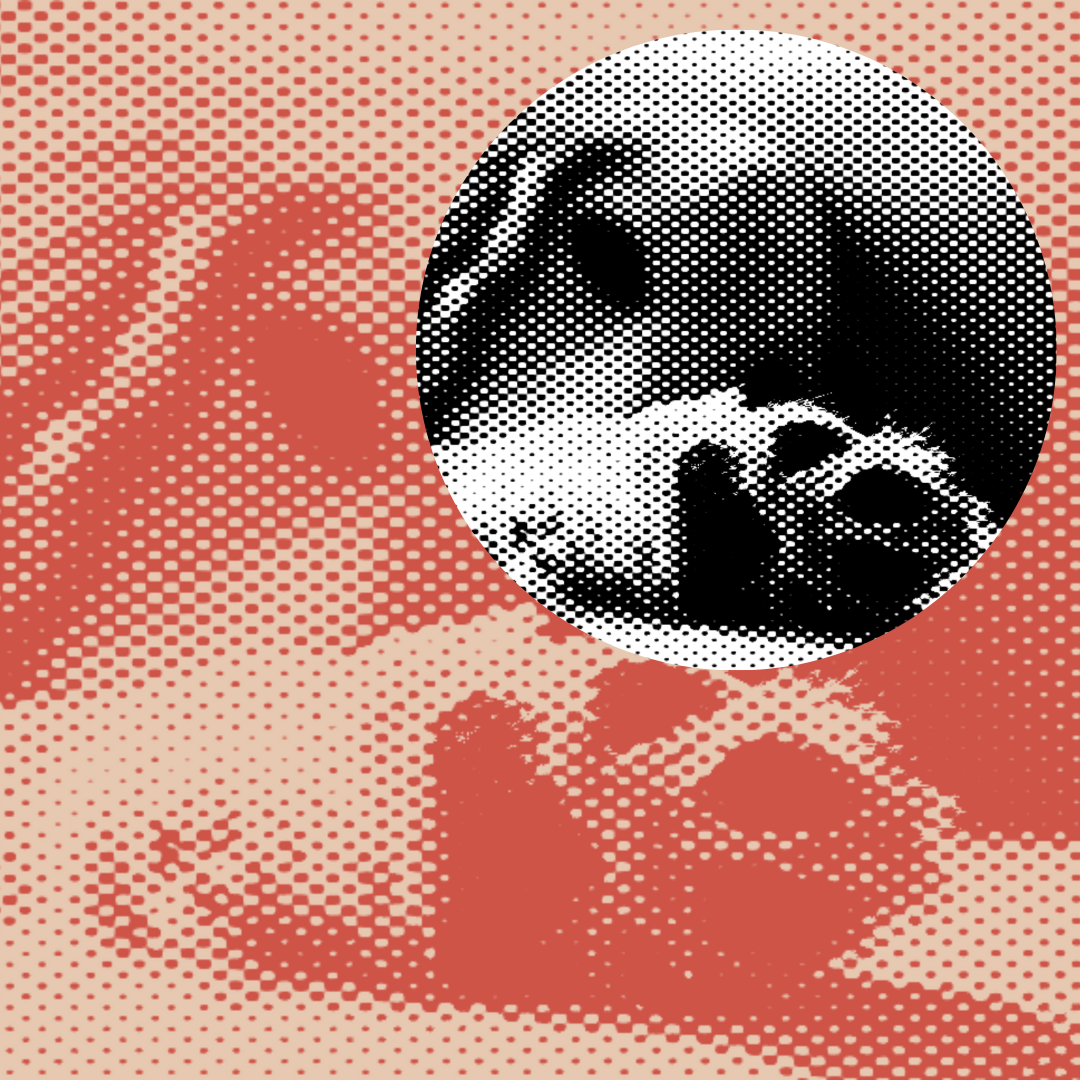 “Beloved” &amp; “While my mother stayed on the cruise ship”