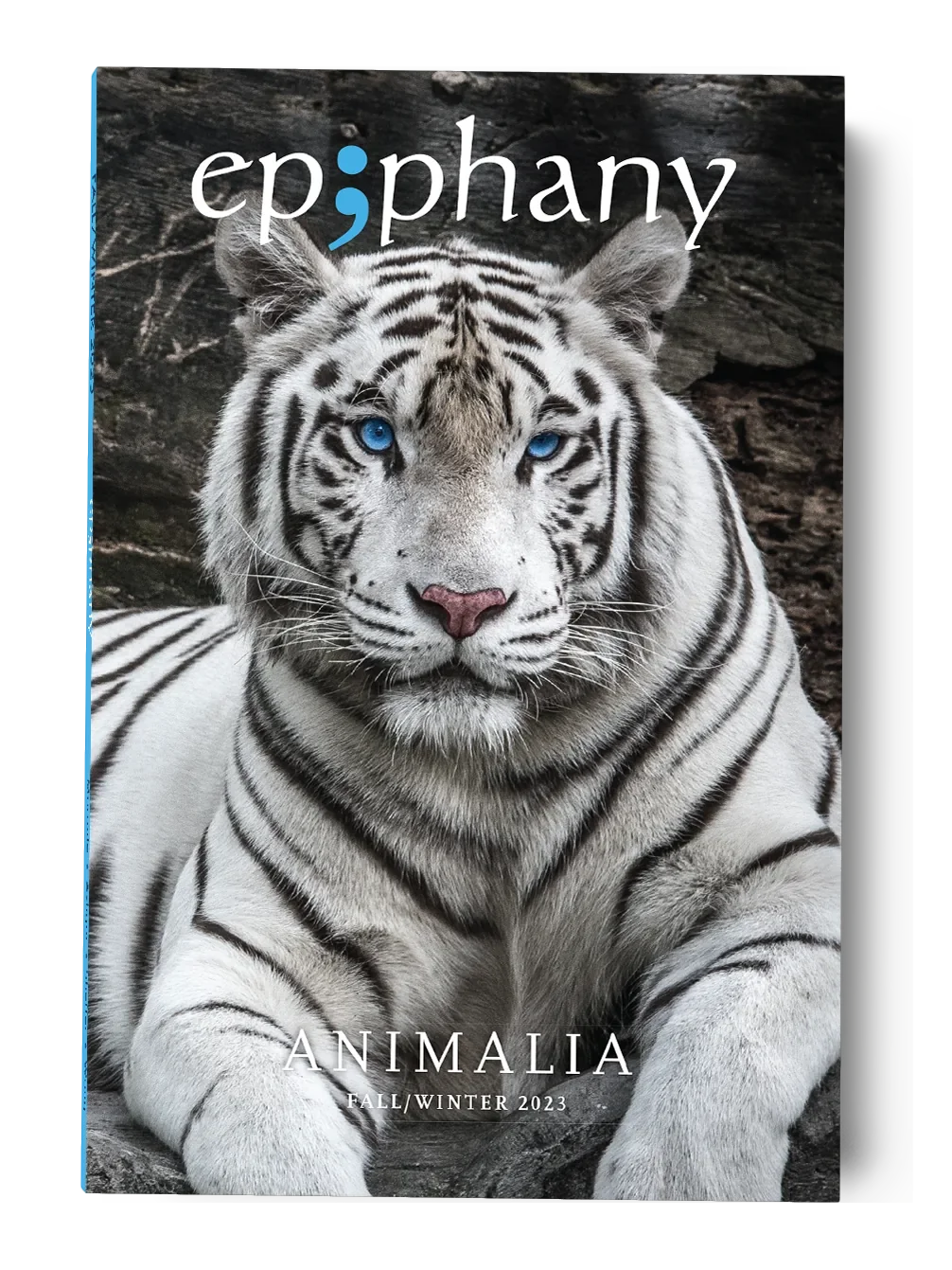 Epiphany Issue No. 31 / FW23 | Print Issue