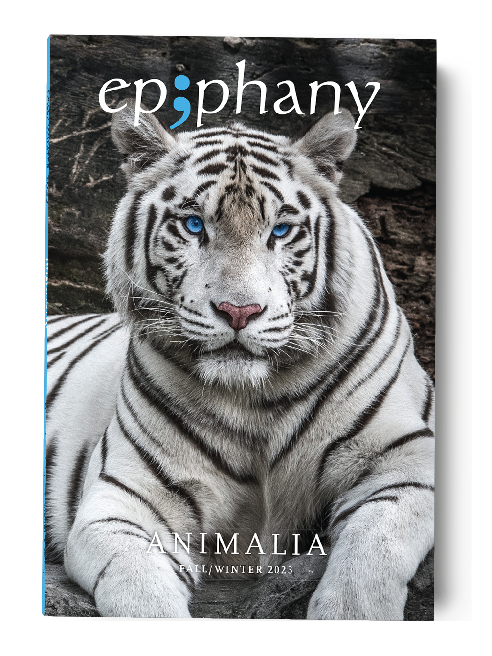 Epiphany Issue No. 31 / FW23 | Print Issue