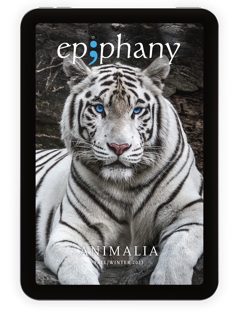 Epiphany Issue No. 31 / FW23 | Digital Download