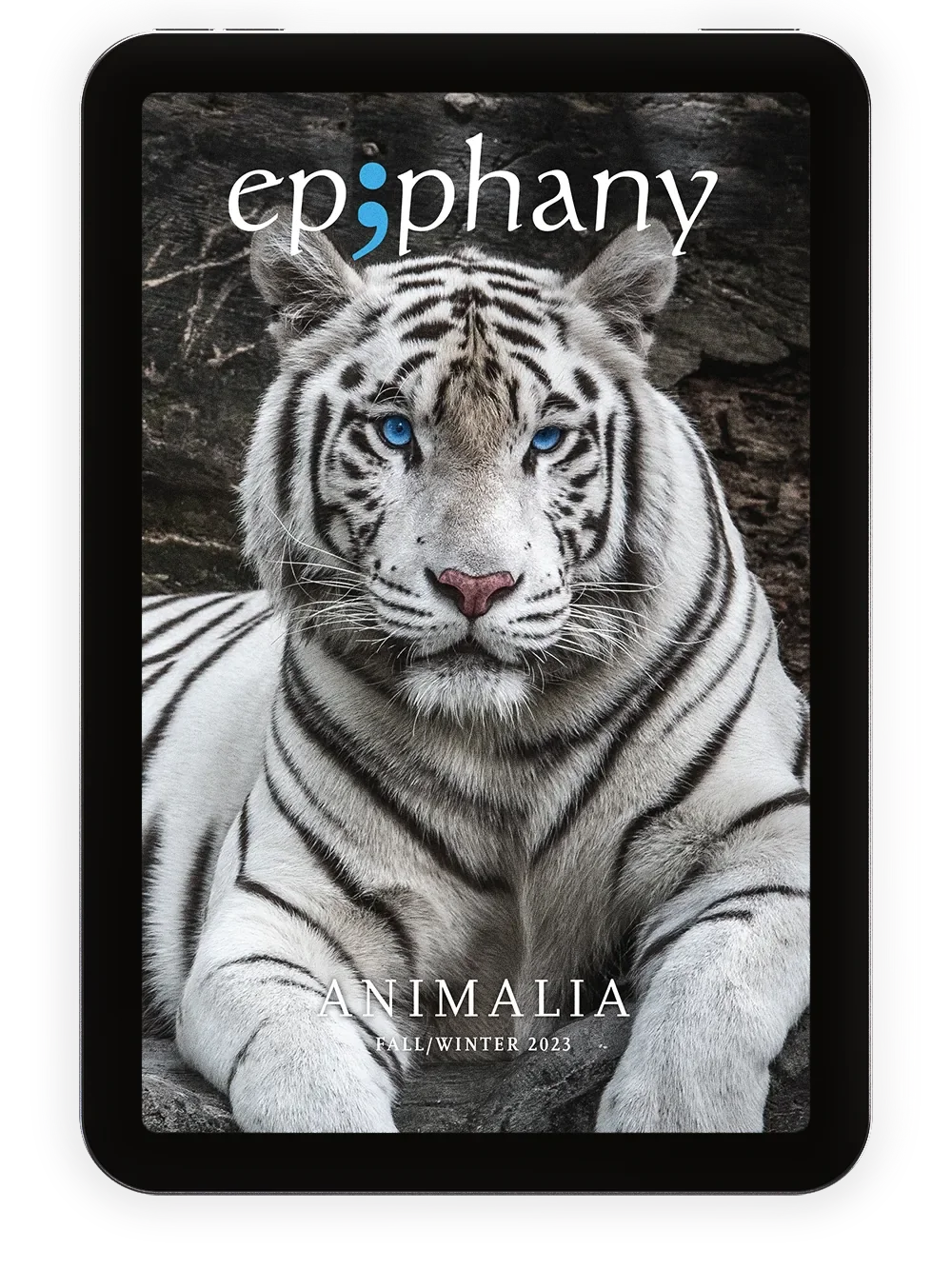 Epiphany Issue No. 31 / FW23 | Digital Download