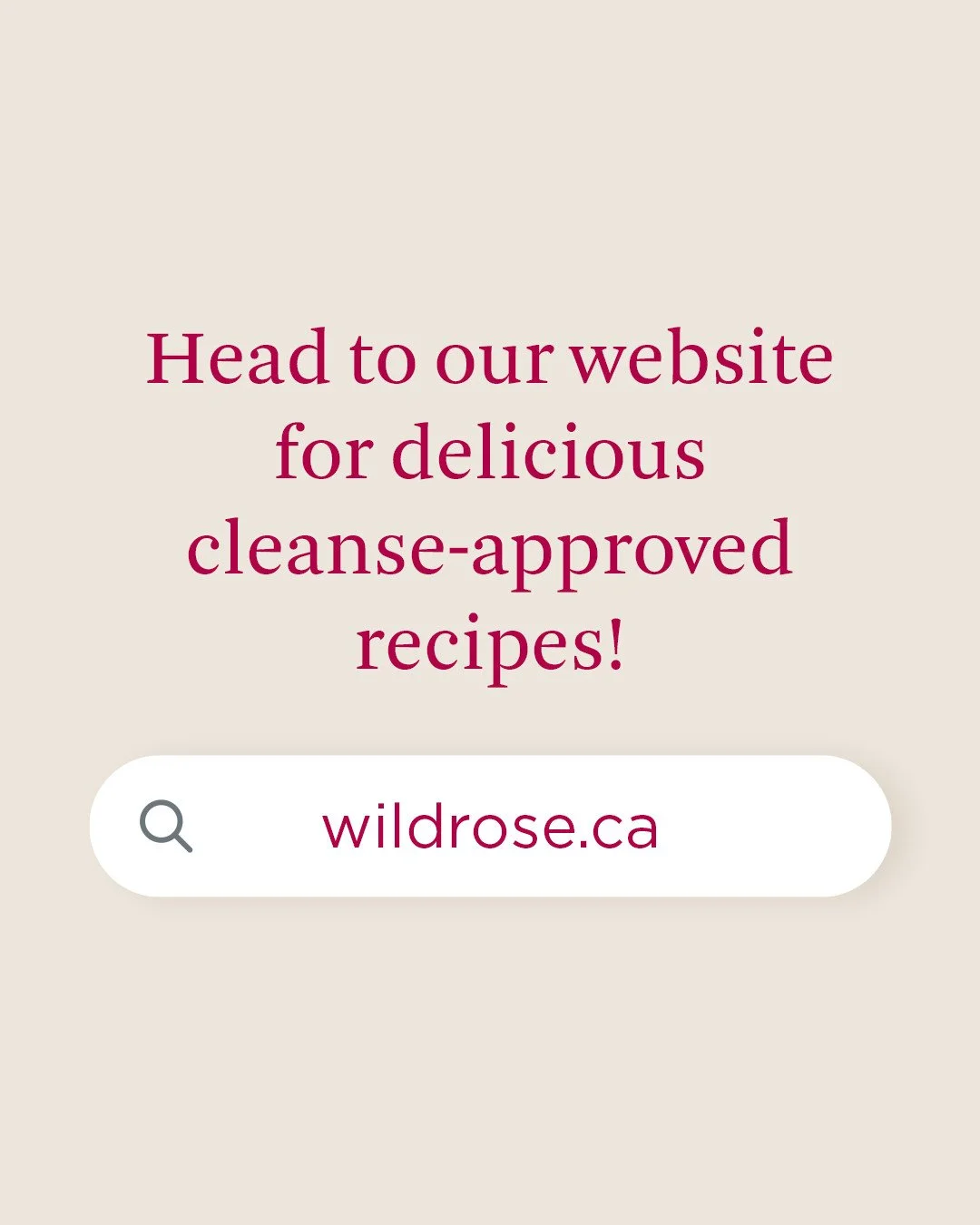 WR_A day on the Wild Rose Cleanse_02.jpg