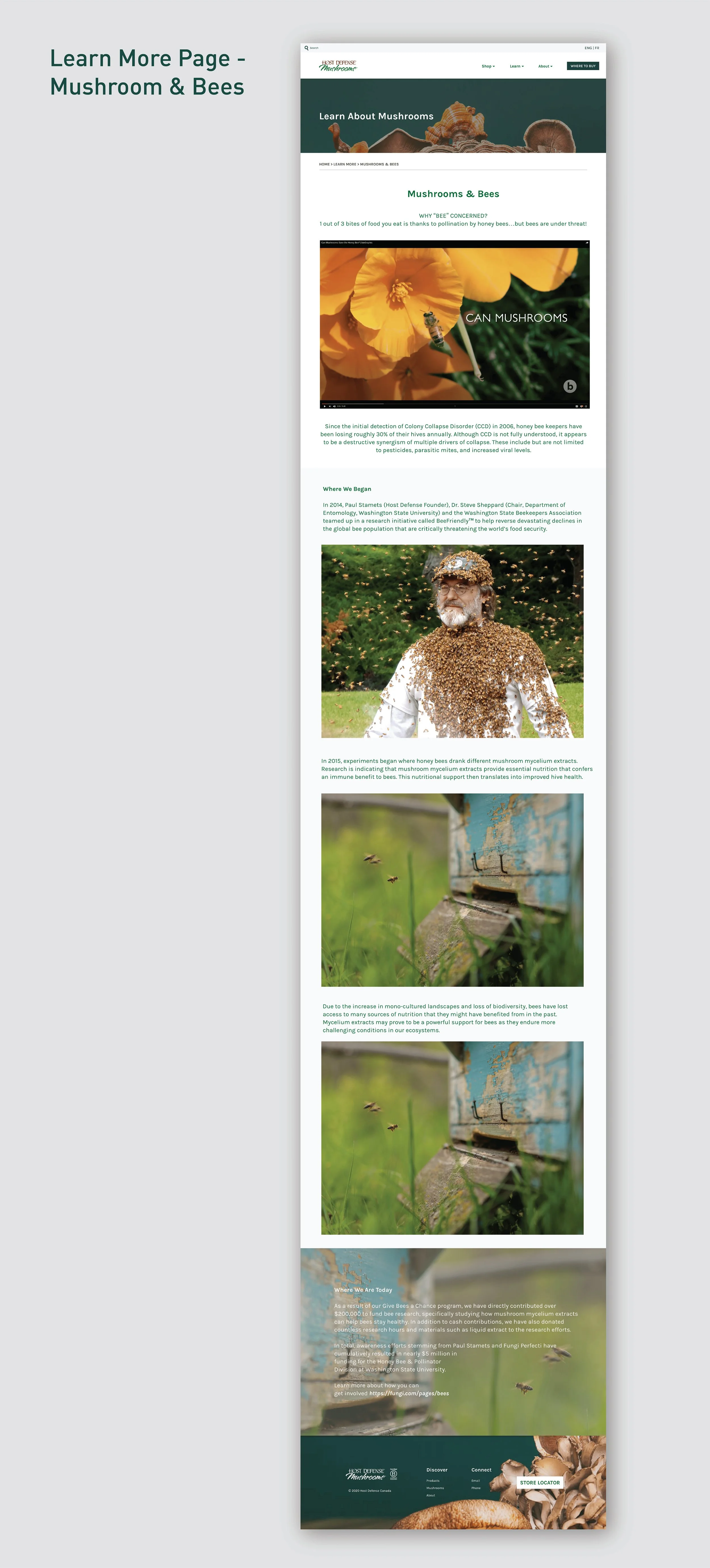 learn more page p3.jpg