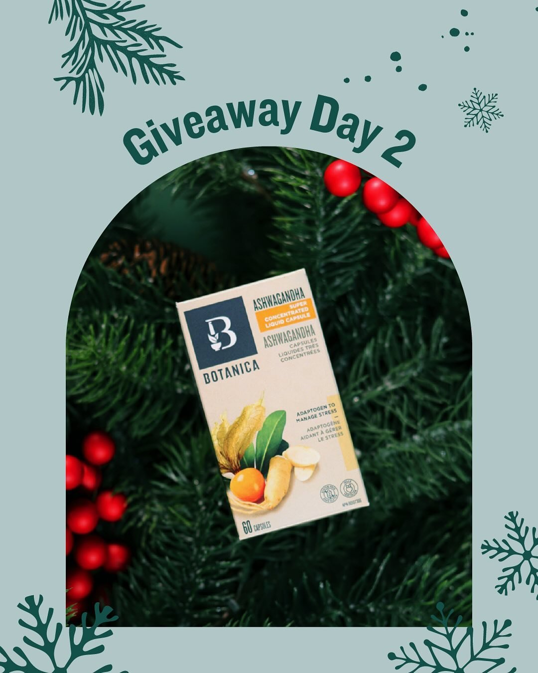 BT_5 Days of giveaway_02.jpg