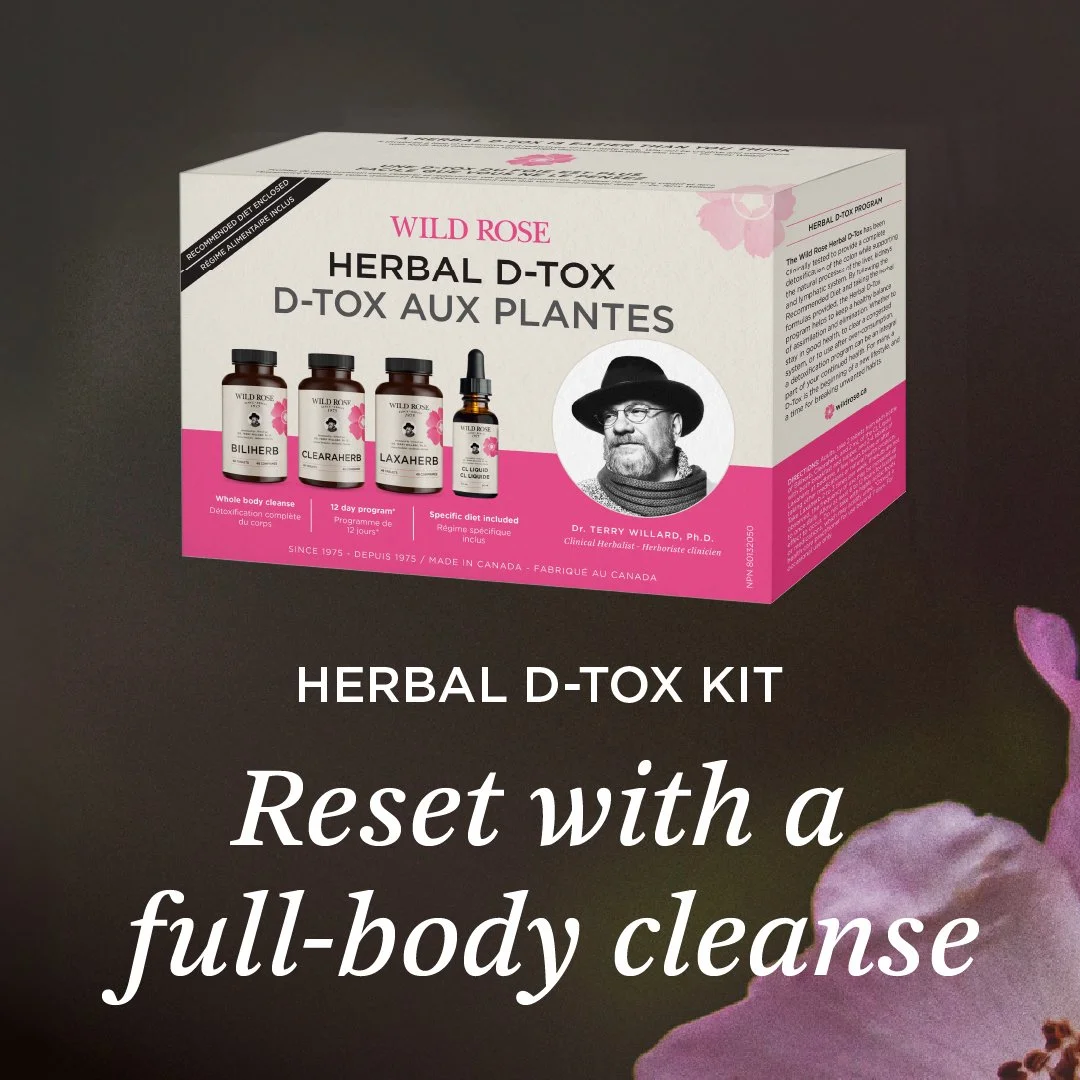 Wild Rose Social Media & Performance Ads