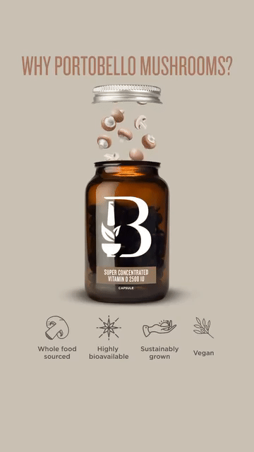 Social Media & Performance Ads