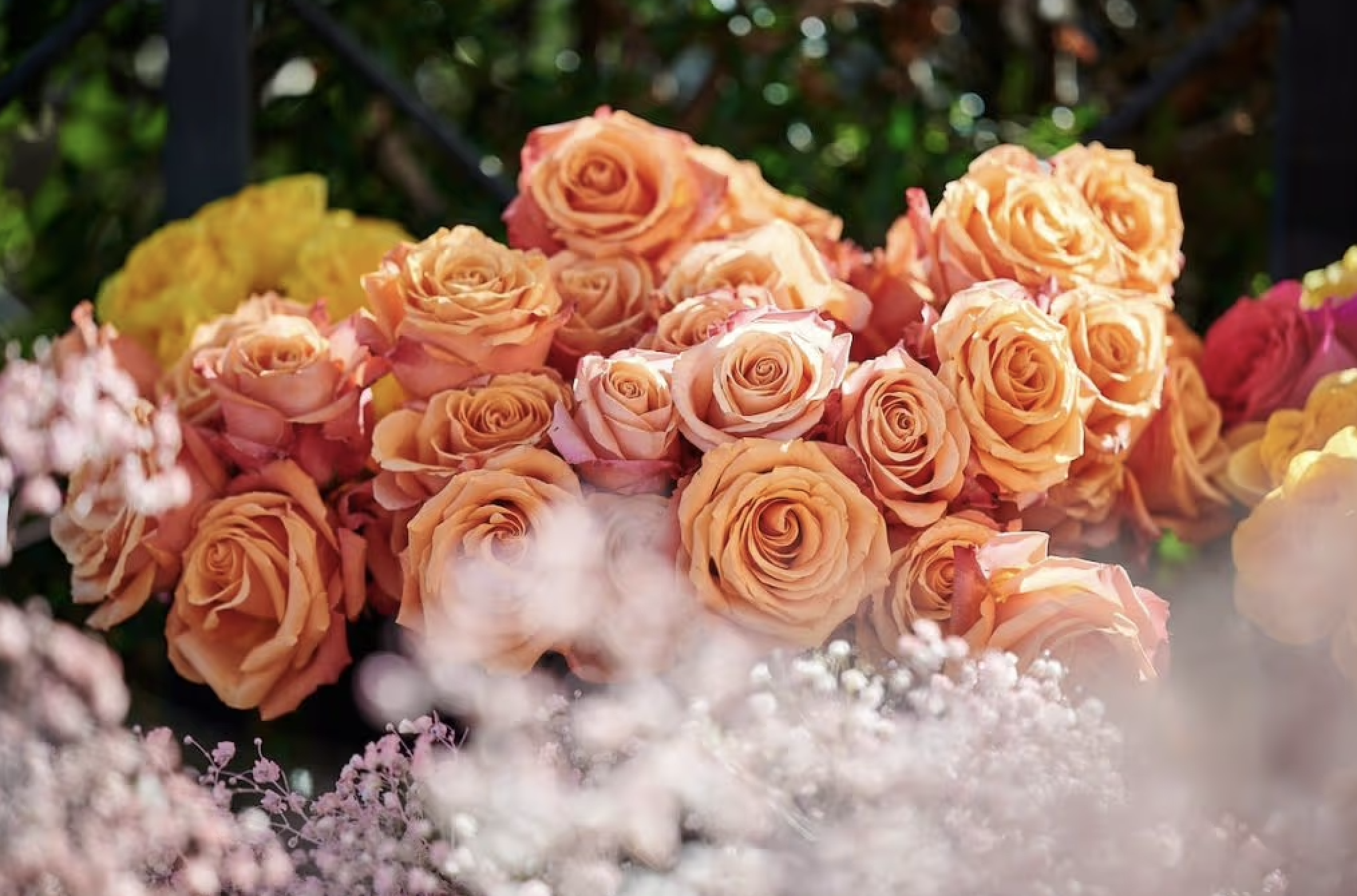 Screenshot 2026-03-04 at 4.12.01 pm.png