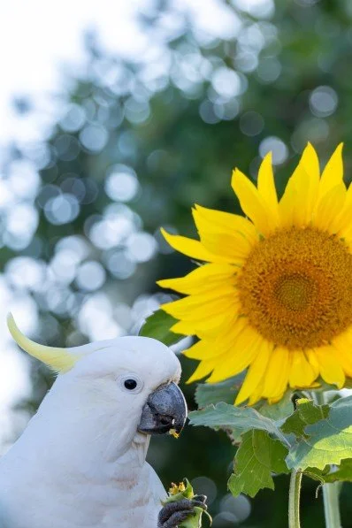 Screenshot 2026-04-21 183706s.jpg