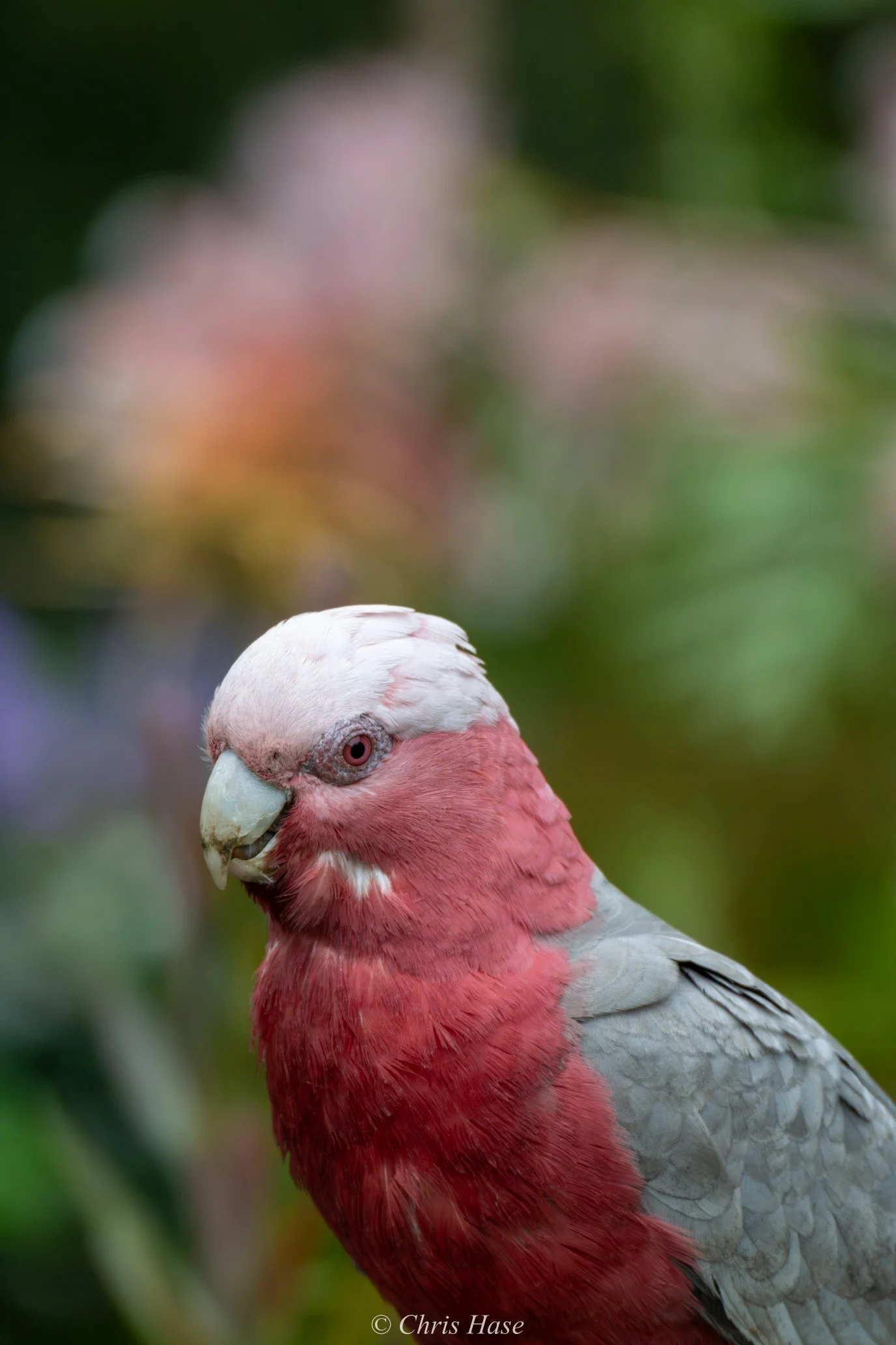 DSC_7740s1.jpg