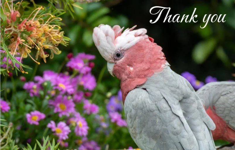 Screenshot 2026-04-18 220633.jpg