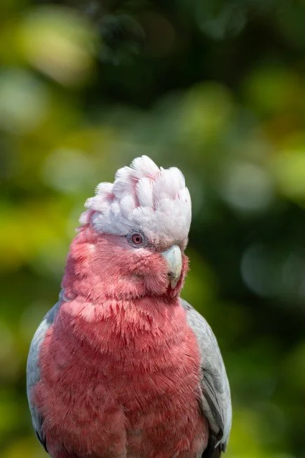 Screenshot 2026-04-21 183919s.jpg