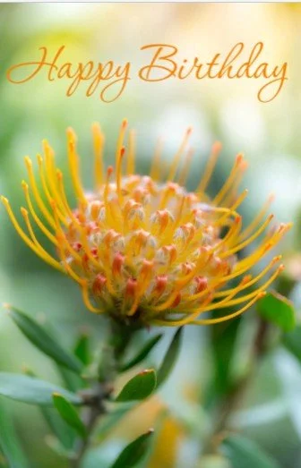 Screenshot 2026-04-18 211708.jpg