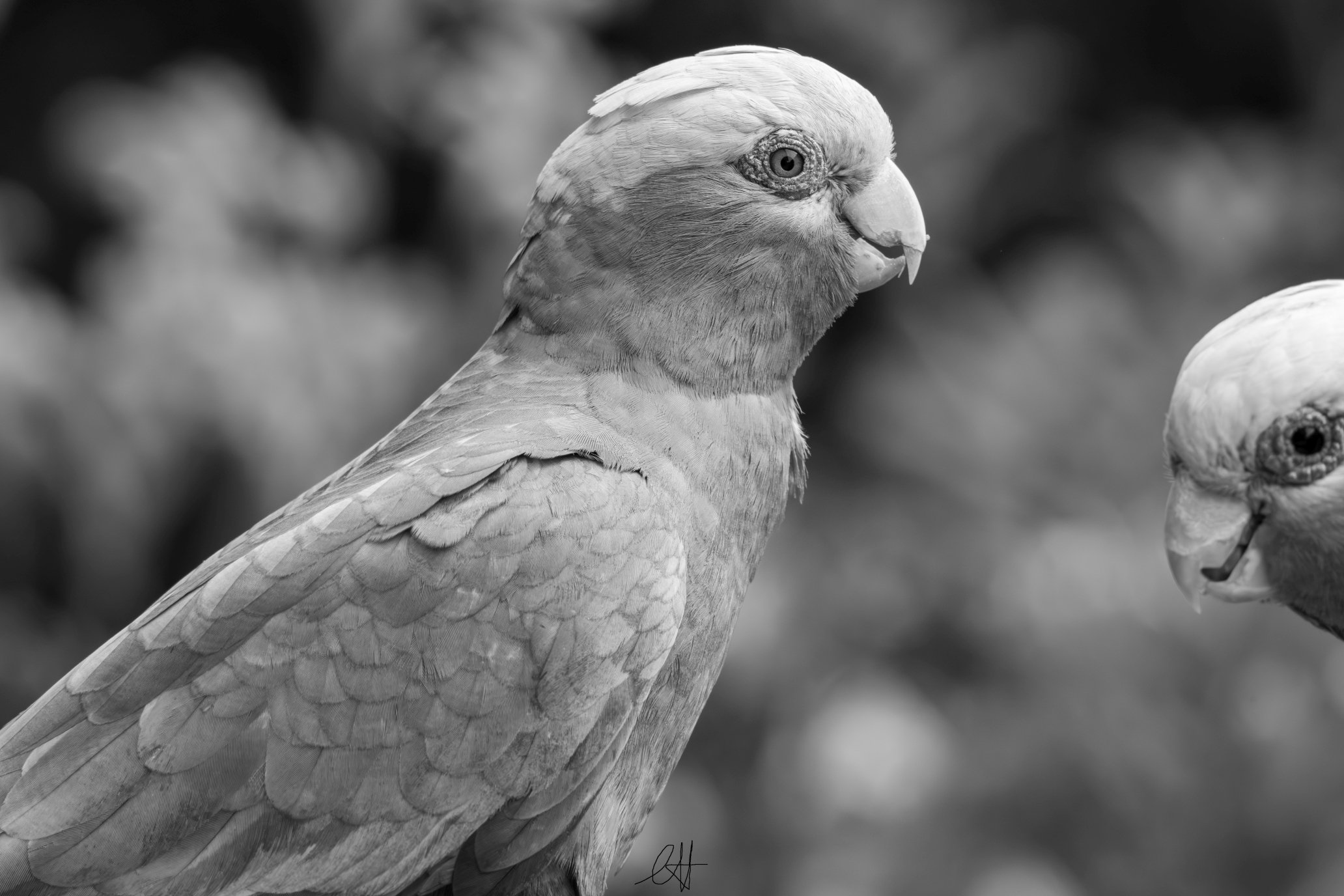 DSC_1730s.jpg