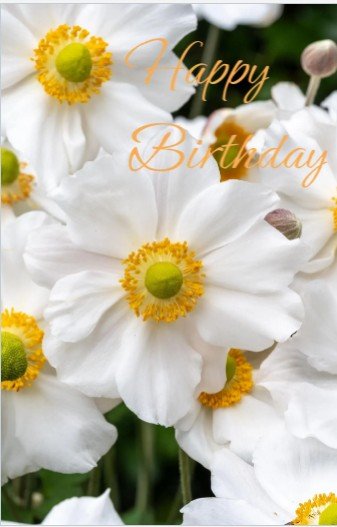 Screenshot 2026-04-18 211017.jpg