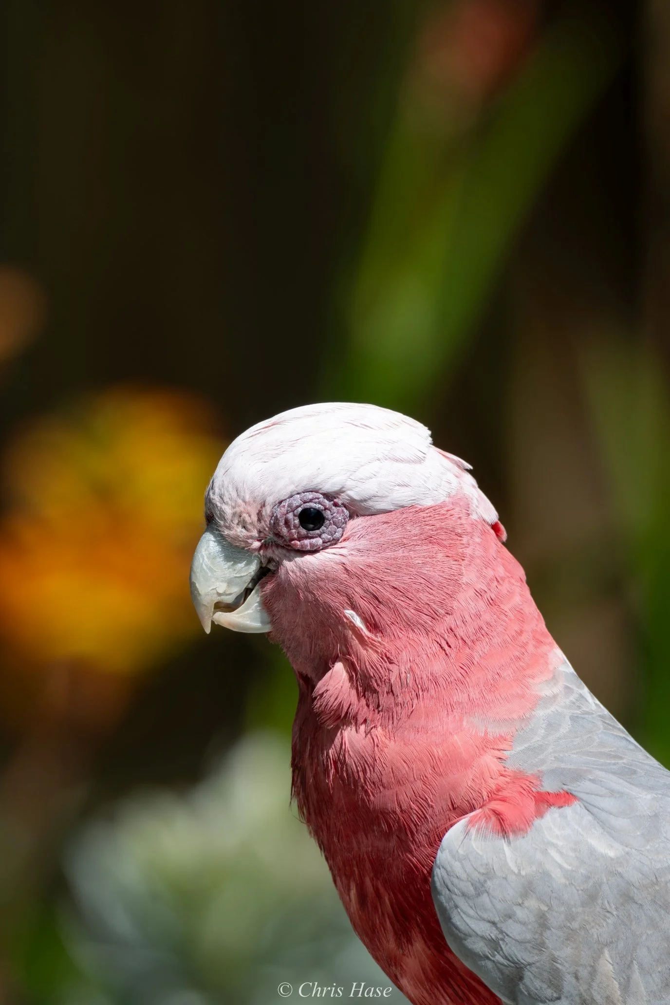 DSC_7624s1.jpg