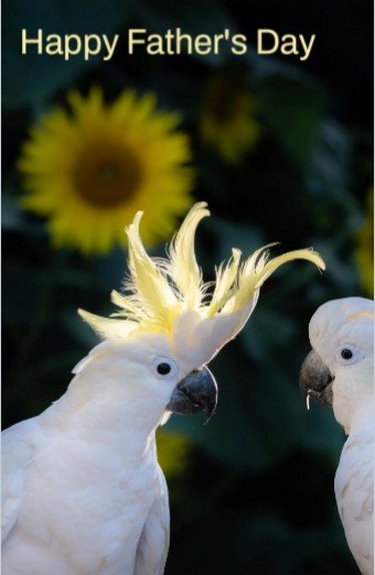 Screenshot 2026-04-18 212133.jpg