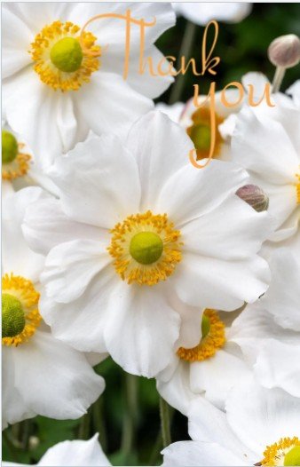 Screenshot 2026-04-18 212047.jpg