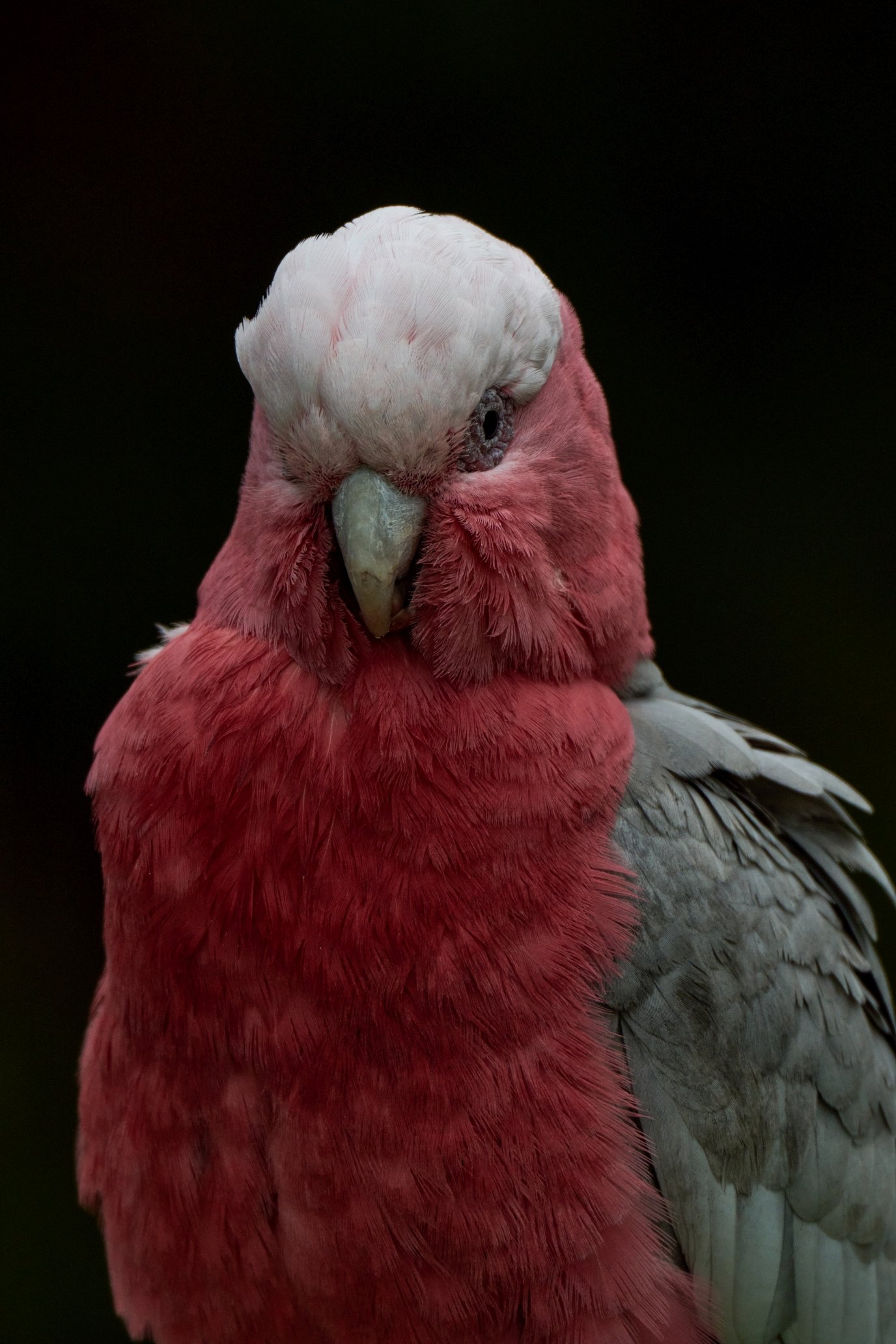 DSC_9524s.jpg
