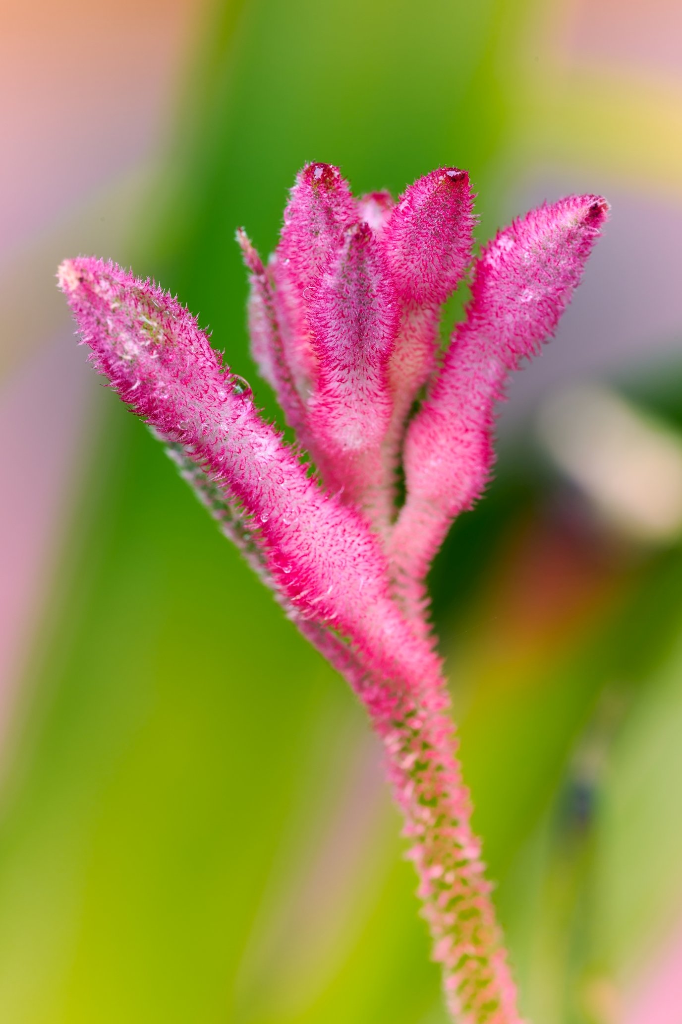 DSC_5401s.jpg